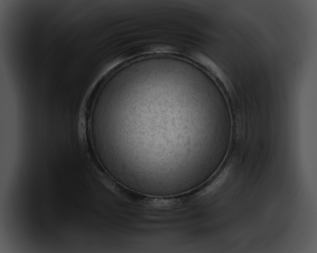 X0000099980827200806061521