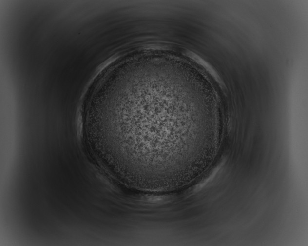 X0000099980829200806061521