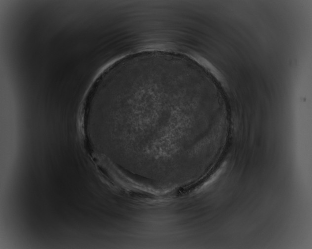 X0000099980830200806061521