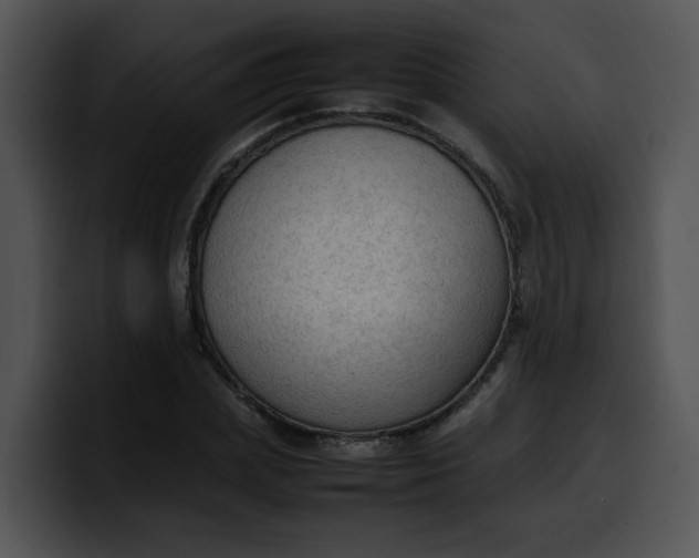 X0000099980831200806061521