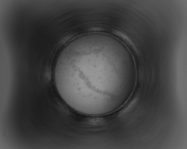 X0000099980833200806061521