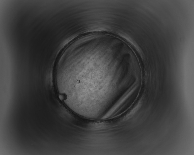 X0000099980834200806061521