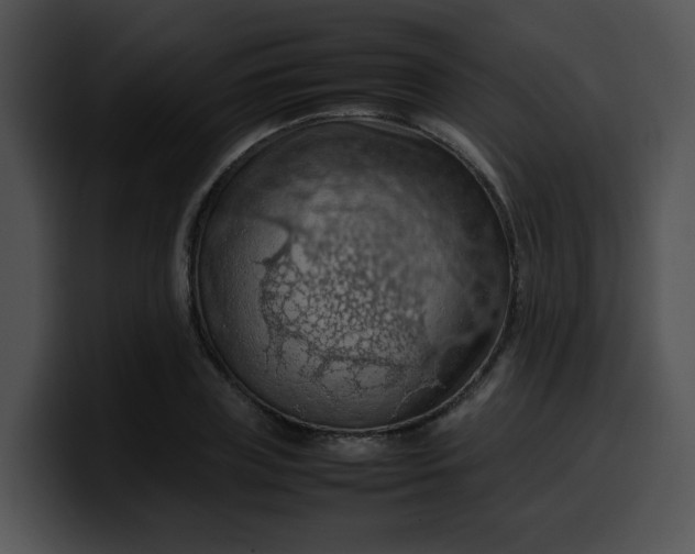 X0000099980835200806061521