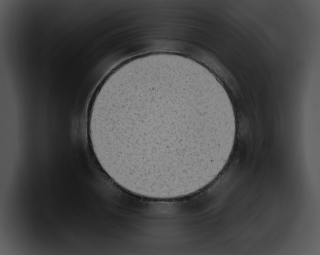 X0000099980836200806061521