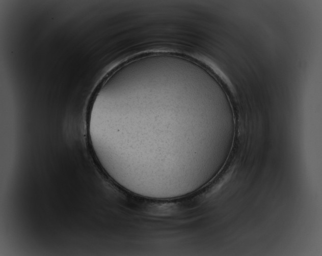 X0000099980837200806061521