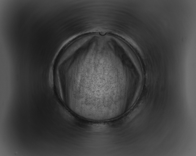 X0000099980838200806061521