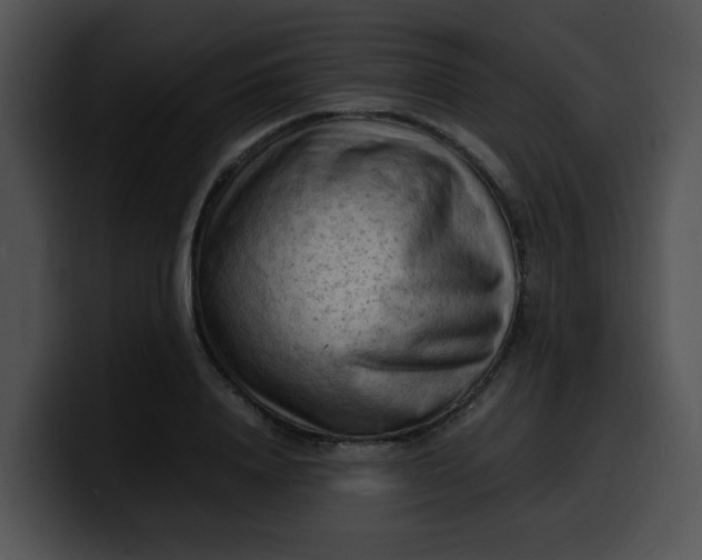 X0000099980840200806061521