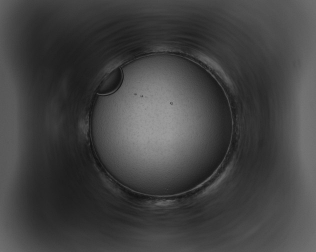 X0000099980841200806061521