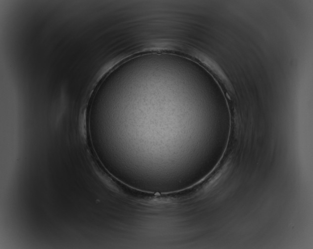 X0000099980842200806061521