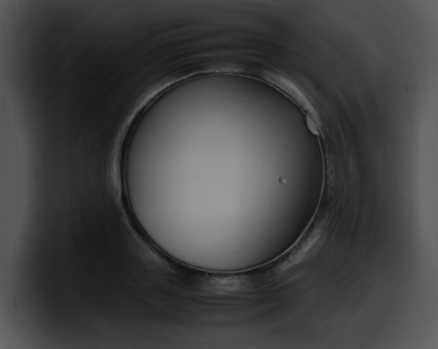 X0000099980843200806061521