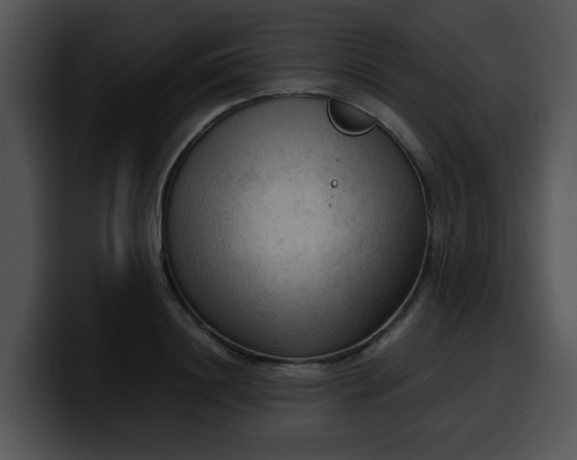 X0000099980844200806061521