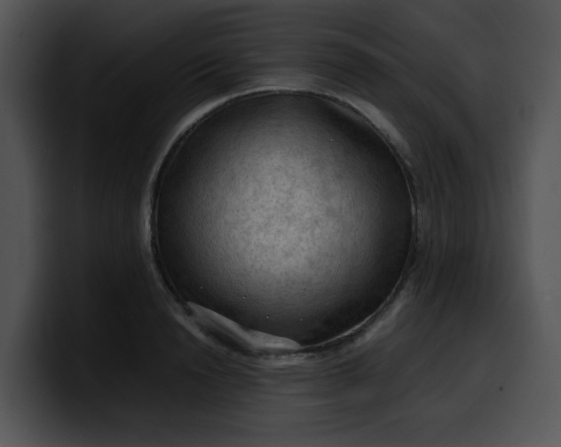 X0000099980846200806061521