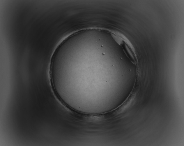 X0000099980847200806061521