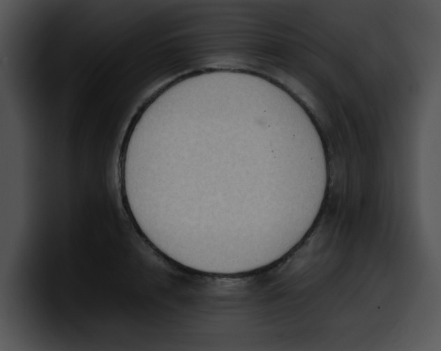 X0000099980848200806061522