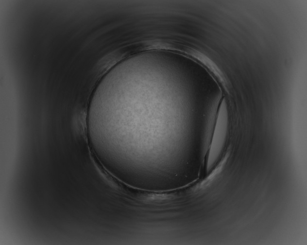 X0000099980849200806061522