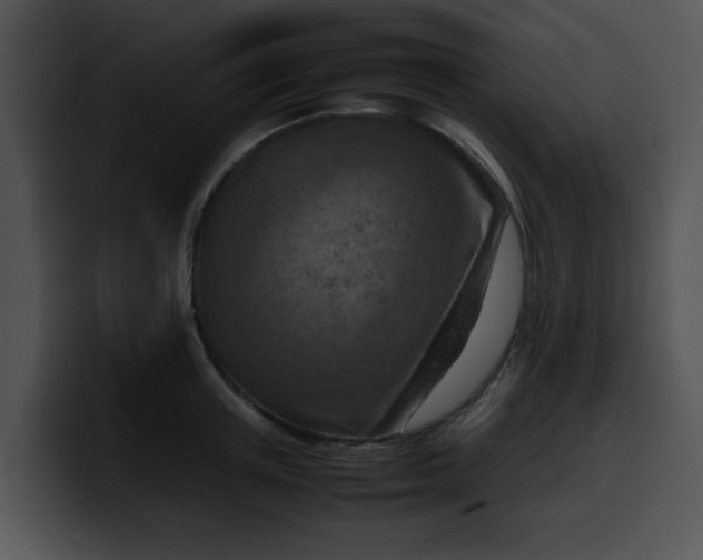 X0000099980851200806061522