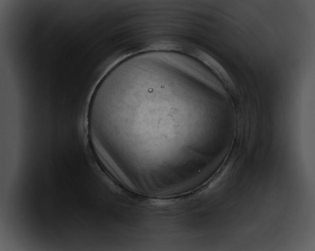 X0000099980852200806061522