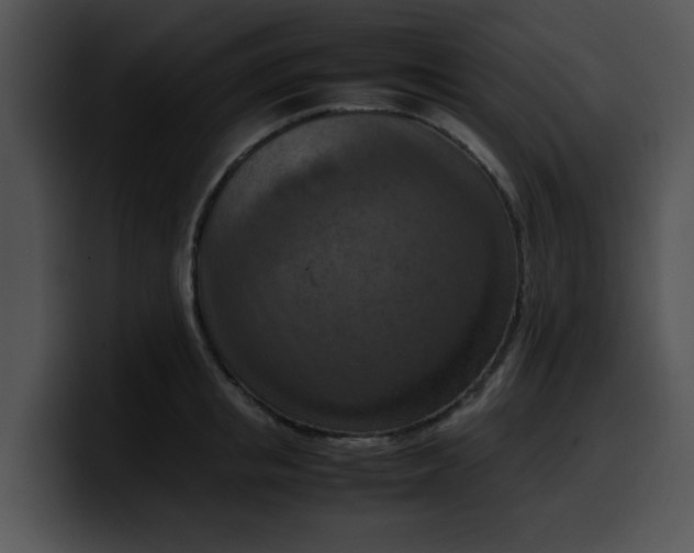 X0000099980853200806061522