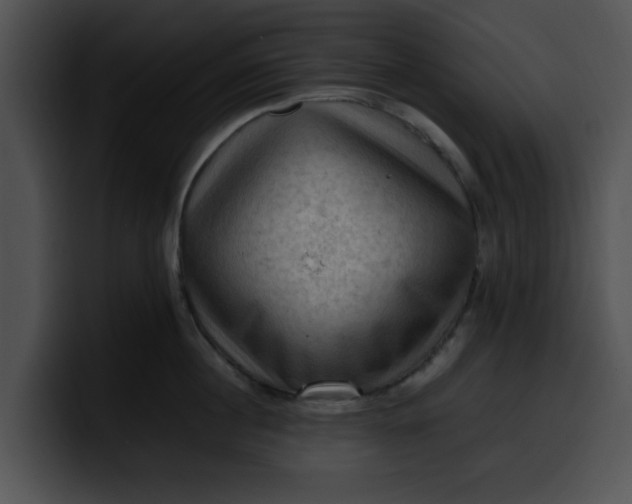 X0000099980860200806061522