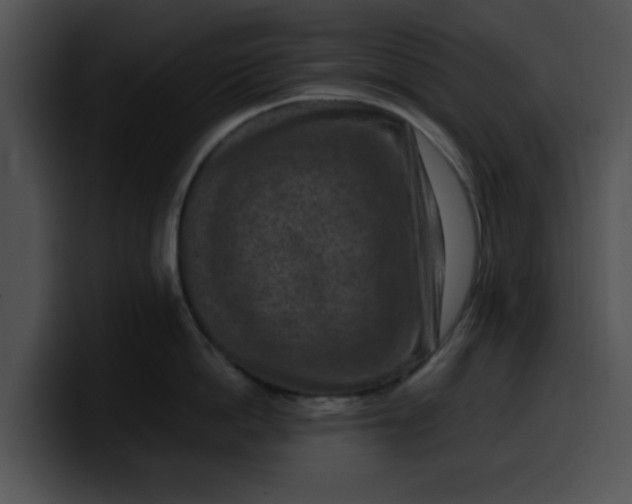 X0000099980862200806061522