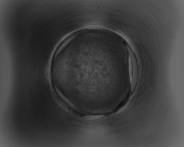 X0000099980864200806061522