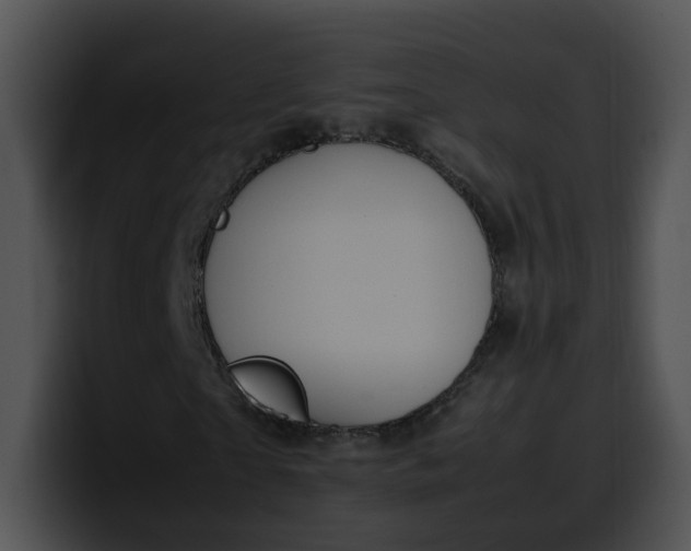 X0000099980865200806061521