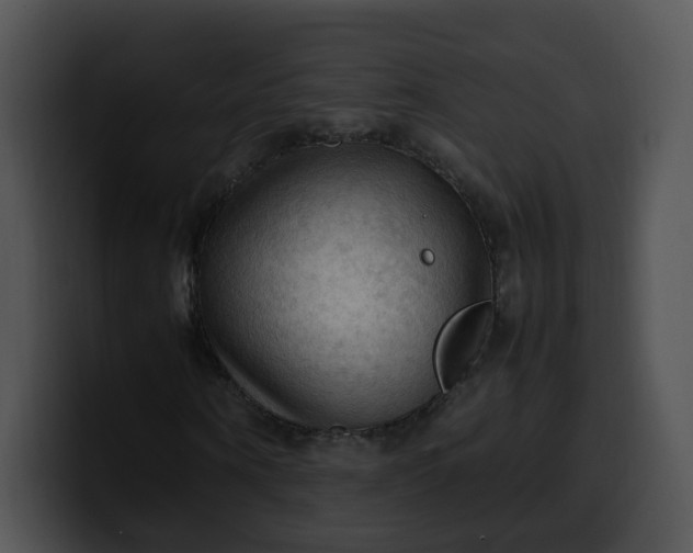 X0000099980866200806061521