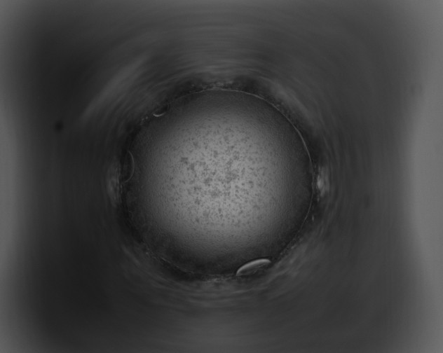 X0000099980867200806061521