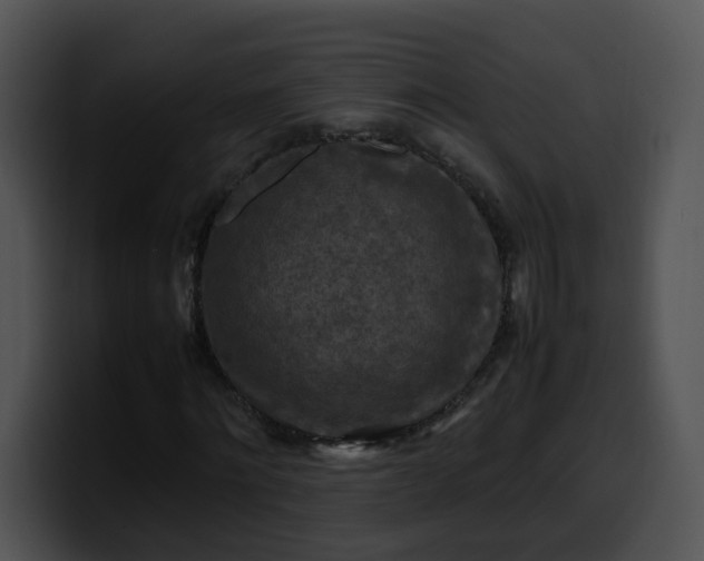 X0000099980868200806061521