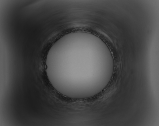 X0000099980869200806061521