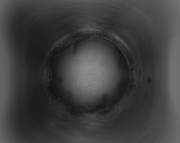 X0000099980870200806061521