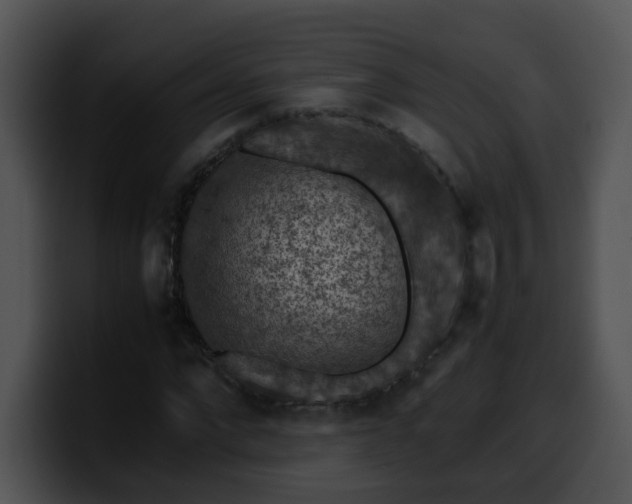 X0000099980872200806061521