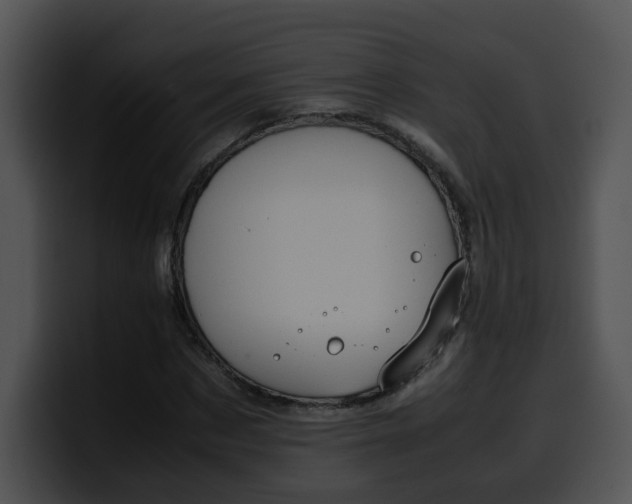 X0000099980873200806061521