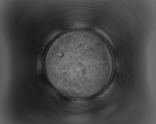 X0000099980874200806061521