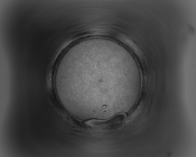 X0000099980875200806061521