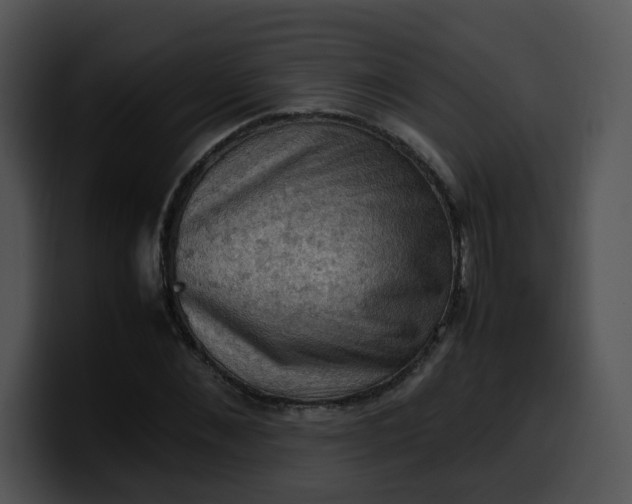 X0000099980876200806061521