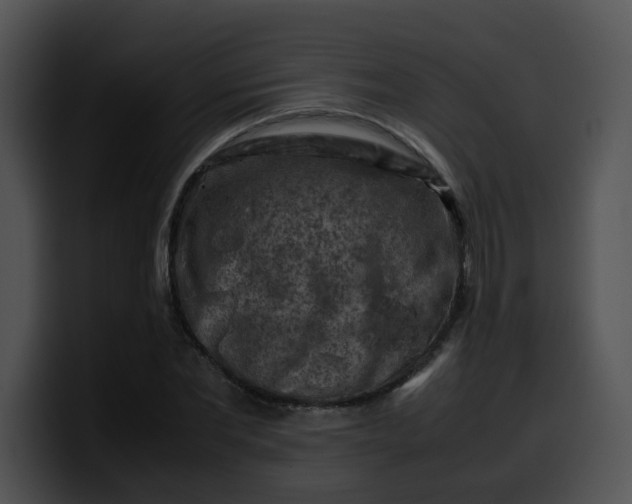 X0000099980877200806061521