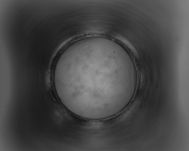 X0000099980878200806061521