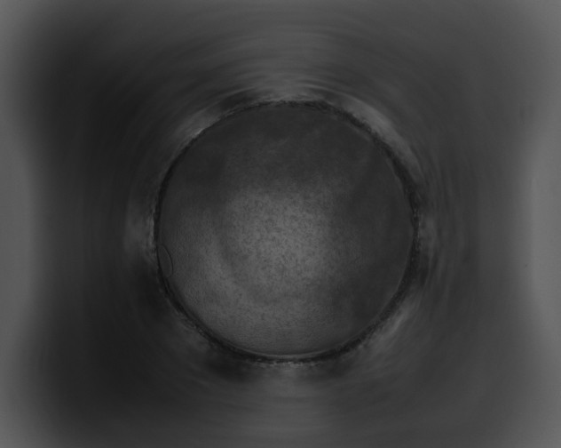 X0000099980881200806061521