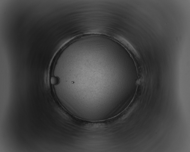 X0000099980884200806061521