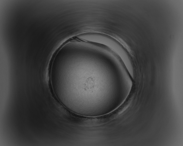 X0000099980885200806061521