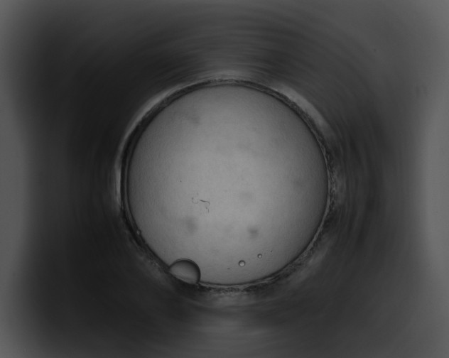 X0000099980886200806061521