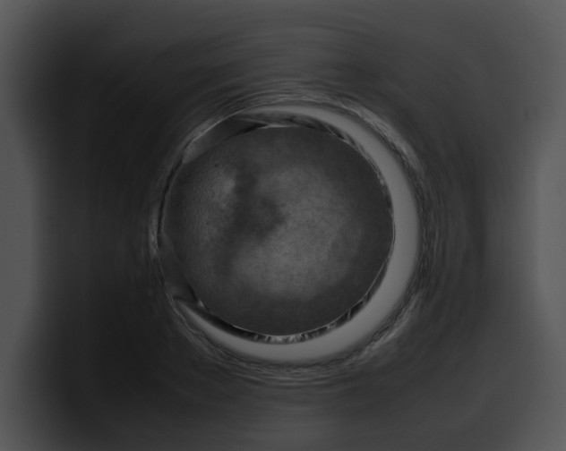 X0000099980889200806061521