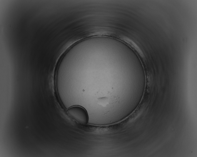 X0000099980890200806061521