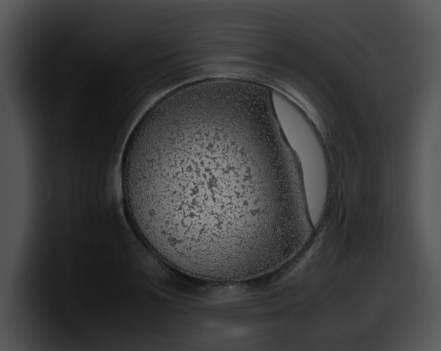 X0000099980891200806061521