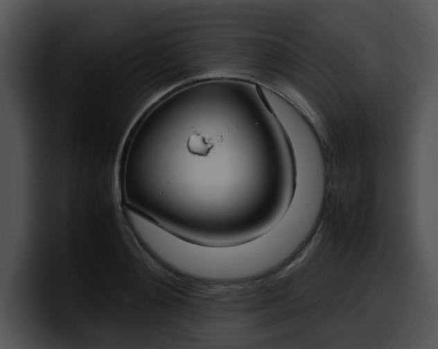 X0000099980892200806061521