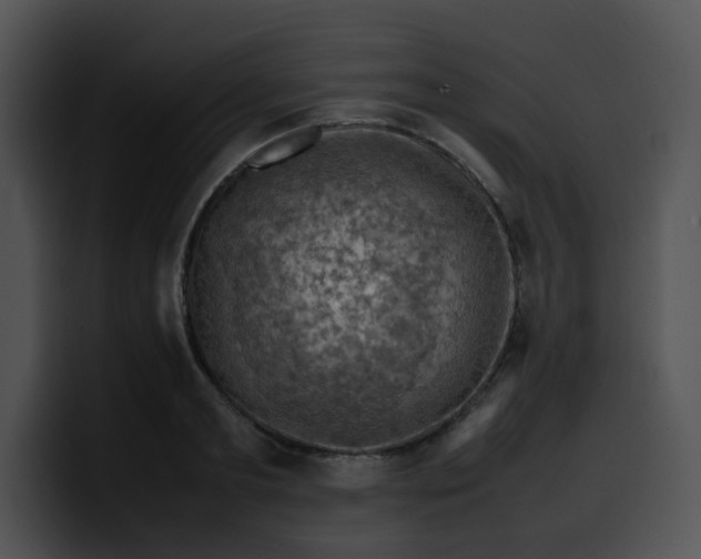 X0000099980893200806061521