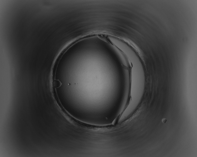 X0000099980894200806061521