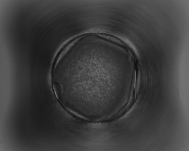 X0000099980896200806061521