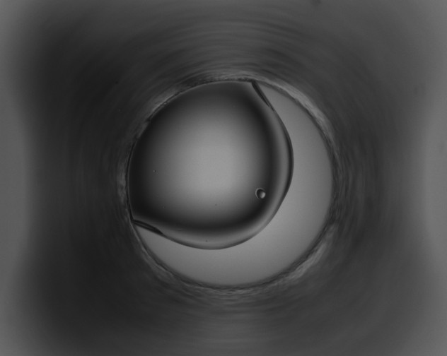 X0000099980897200806061521